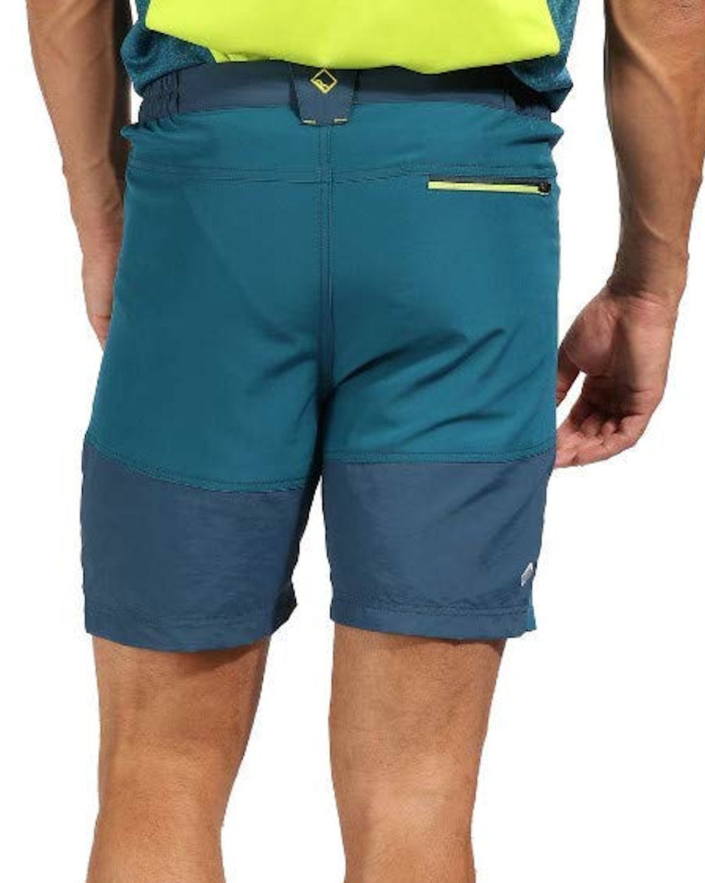 Pánské šortky REGATTA Sungari Lightweight