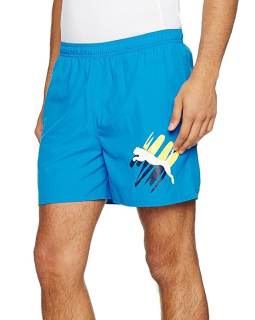 Pánské kraťasy PUMA Summer Big Cat