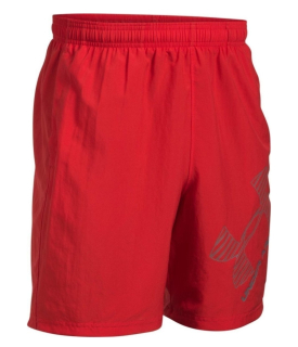 Pánské šortky UNDER ARMOUR Graphic